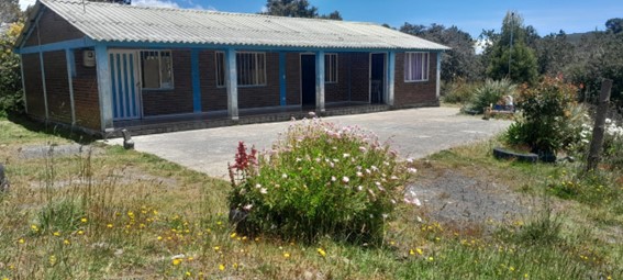 Descripción de la imagen