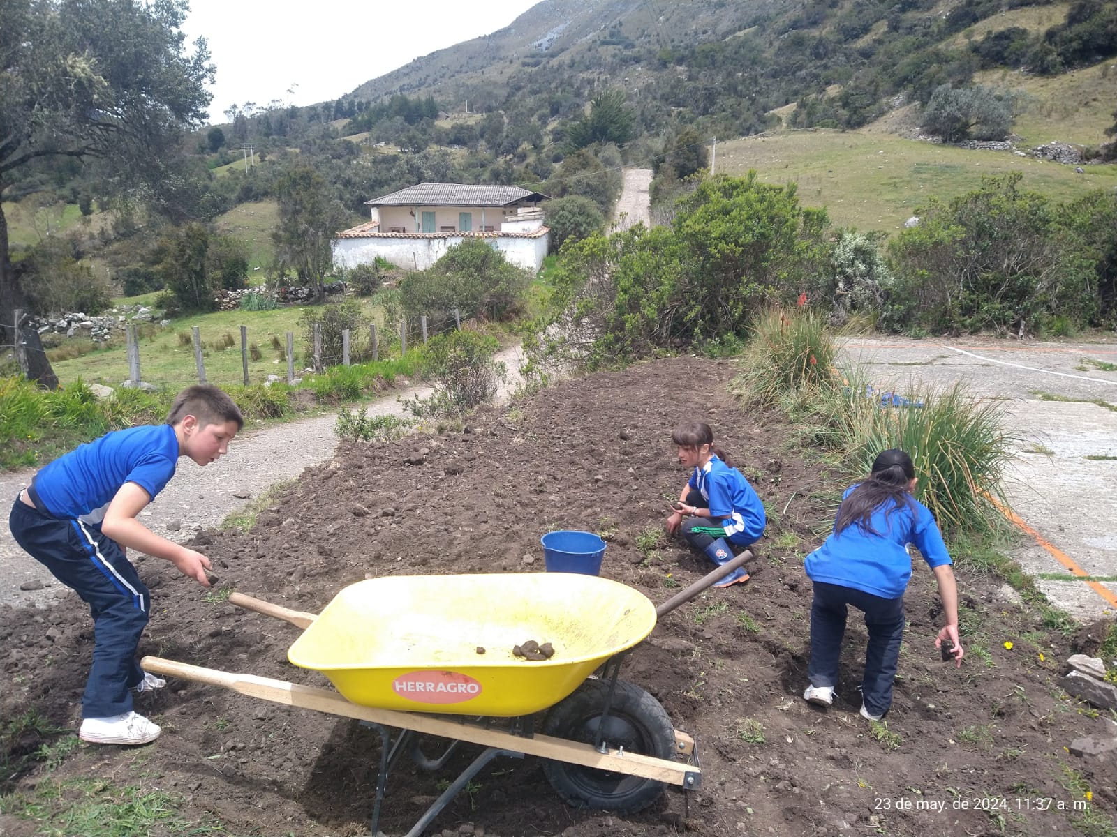 Descripción de la imagen