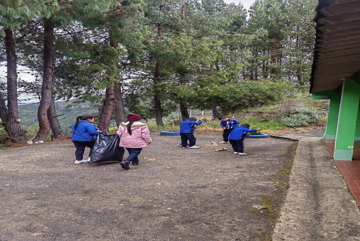 Descripción de la imagen