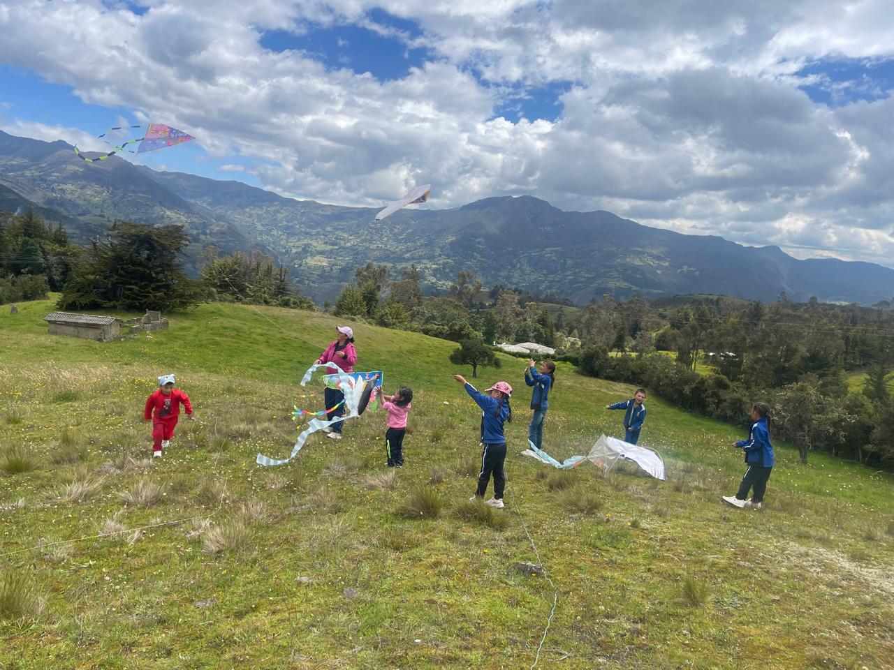 Descripción de la imagen