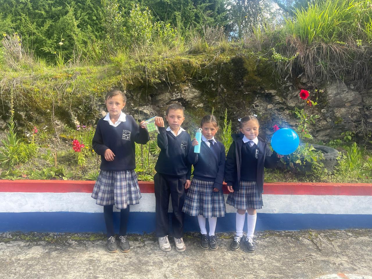 Descripción de la imagen