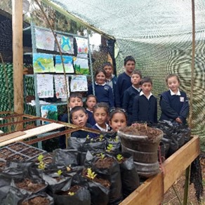 Descripción de la imagen