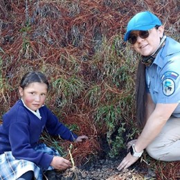 Descripción de la imagen